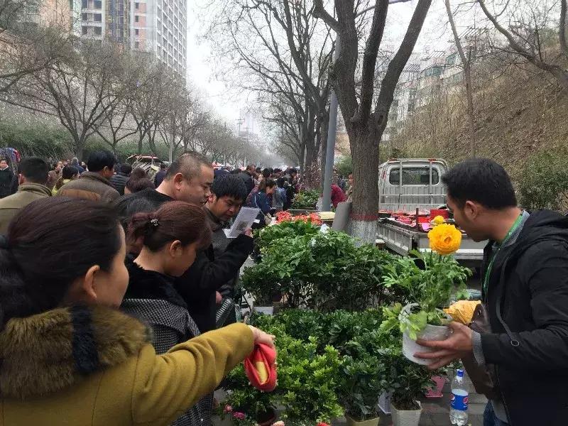 揭秘药王谷：策划大师与落魄商贩的惊天合谋