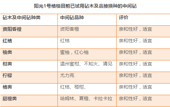 2024年全年资料免费大全优势｜精选解释解析落实