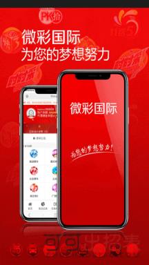 2024澳门开奖结果｜精选解释解析落实