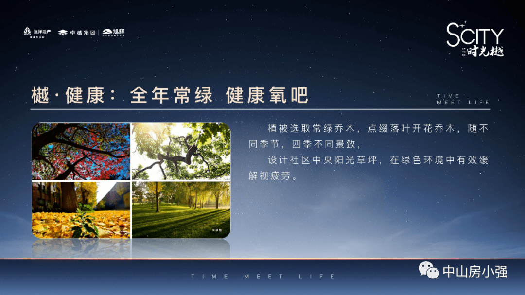 2024年澳门天天开好彩｜精选解释解析落实