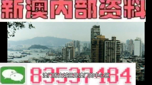 新澳门精准免费资料查看｜精选解释解析落实
