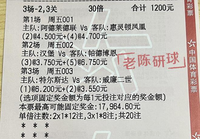 2024澳门特马今晚开奖06期｜精选解释解析落实