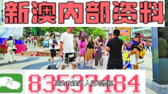 2024澳门精准正版资料｜精选解释解析落实