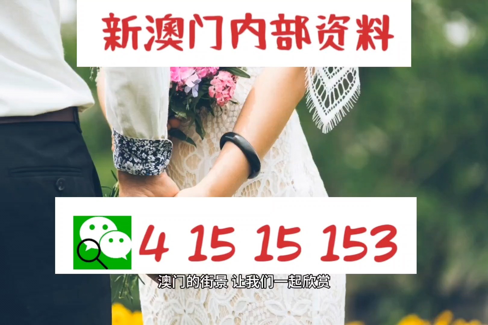 新澳门2024正版资料免费公开｜精选解释解析落实